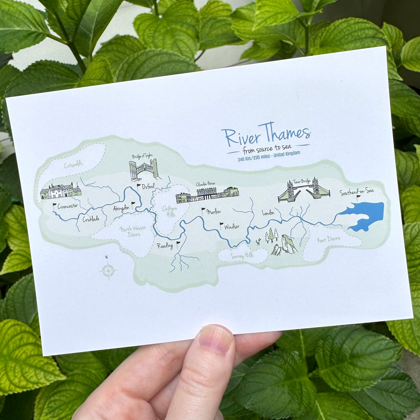 River Thames Postcard
